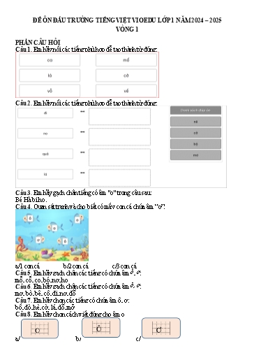 Đề ôn tập Tiếng Việt VioEdu Lớp 1 - Vòng 1 - Chữ o, ô, ơ - Năm học 2024-2025 (Có đáp án)