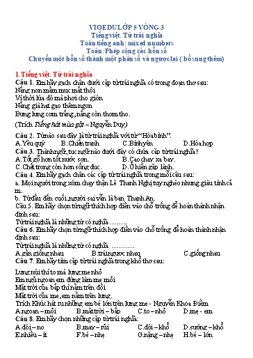 Đề ôn thi Vioedu Lớp 5 - Vòng 3 (Có đáp án)